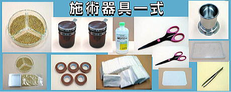 ���ڃ_�C�G�b�g �Z�~�i�[����