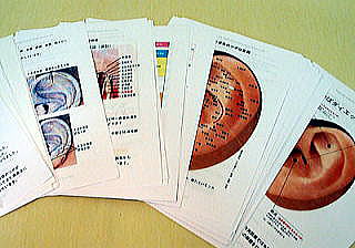 ���ڃ_�C�G�b�g �Z�~�i�[���{2