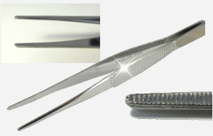 ���ڂ̊��