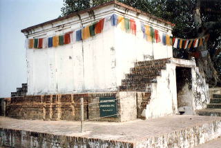 �C���h�����r�j�[�̃}����