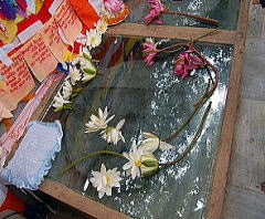 �C���h�u�b�_�K�������Ό���