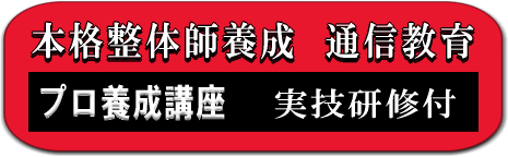 プロ整体師 養成通信講座