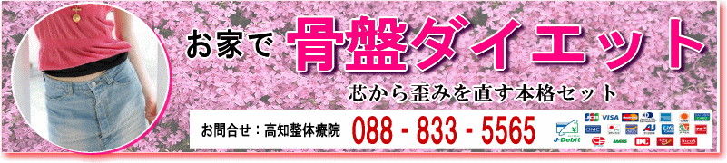 ���Ճ_�C�G�b�g�����Ƃłł���Z�b�g�̈ē�