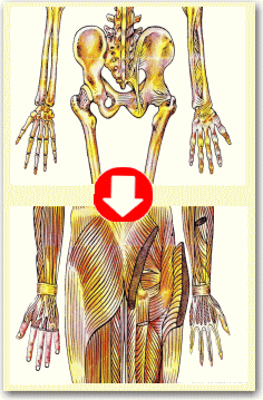 ���Ճ_�C�G�b�g�͋ؓ��̒�������