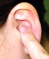 ���ڃ_�C�G�b�g�c�{�T����